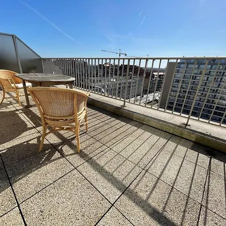 Zonnig Op Zeedijk Te *